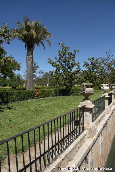 gal/Voyages/Spain/Aranjuez/Aranjuez_Palacio_Real_Spain14.jpg