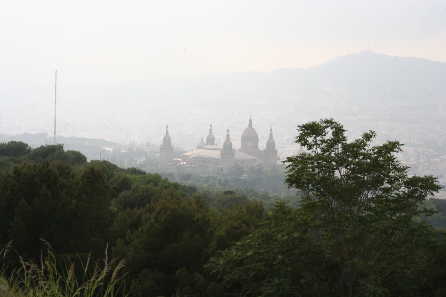 gal/Voyages/Spain/Barcelona/Montjuic/IMG_8968.JPG