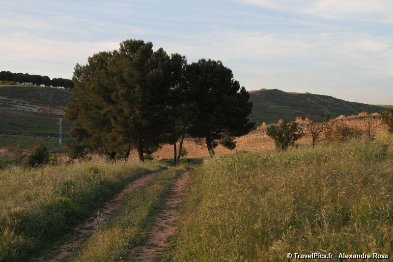 gal/Voyages/Spain/Belmonte/Castillo_Belmonte_la_Mancha047.jpg