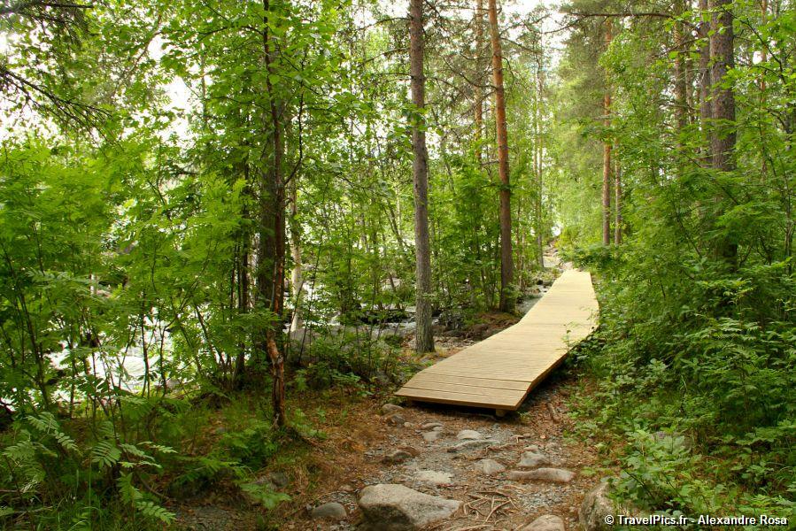 gal/Voyages/Sweden/Storforsen/Storforsen_Sweden_Waterfall068.jpg