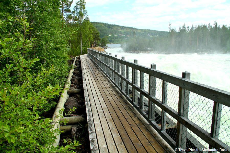 gal/Voyages/Sweden/Storforsen/Storforsen_Sweden_Waterfall098.jpg