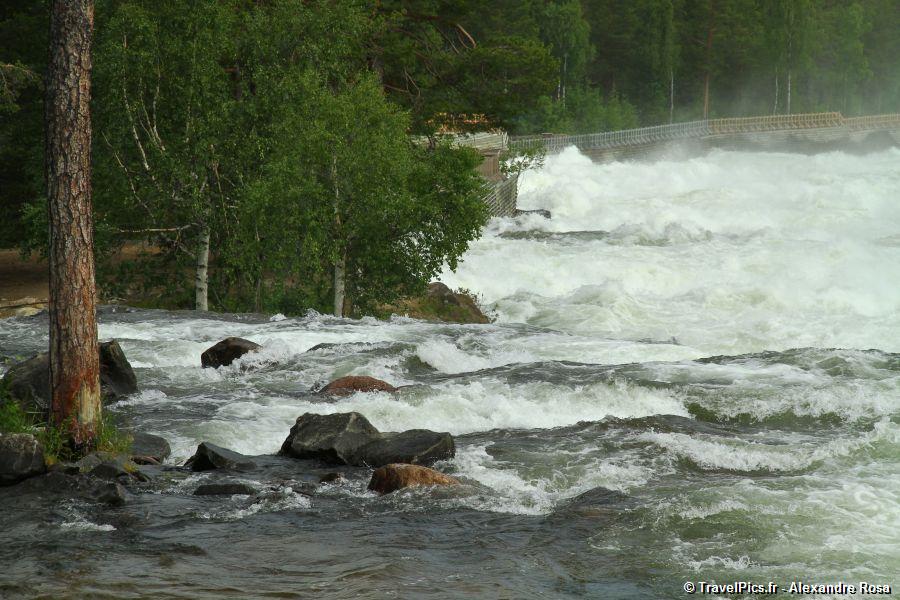 gal/Voyages/Sweden/Storforsen/Storforsen_Sweden_Waterfall155.jpg