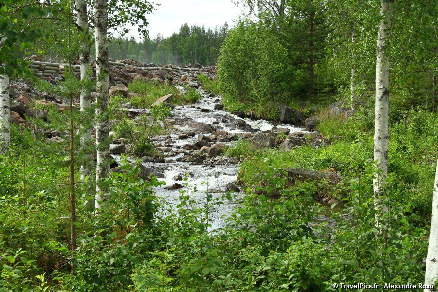 gal/Voyages/Sweden/Storforsen/Storforsen_Sweden_Waterfall169.jpg