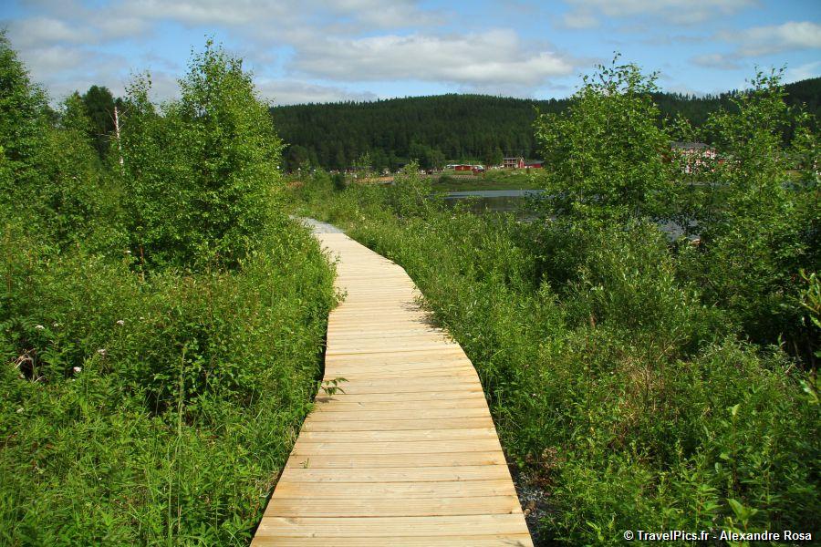 gal/Voyages/Sweden/Storforsen/Storforsen_Sweden_Waterfall247.jpg