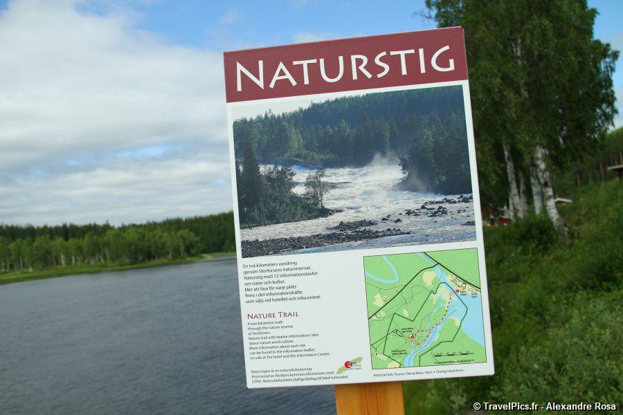 gal/Voyages/Sweden/Storforsen/Storforsen_Sweden_Waterfall259.jpg