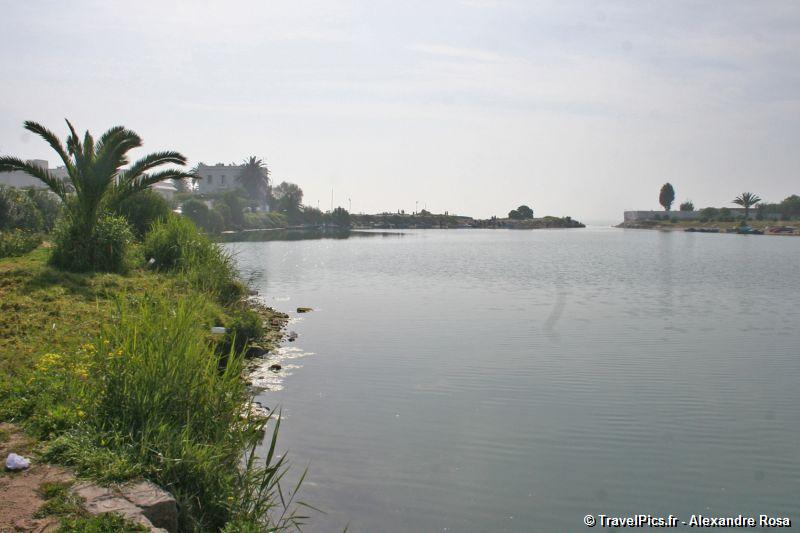 gal/Voyages/Tunisia/Carthage/Carthage_ruines_Tunis017.jpg