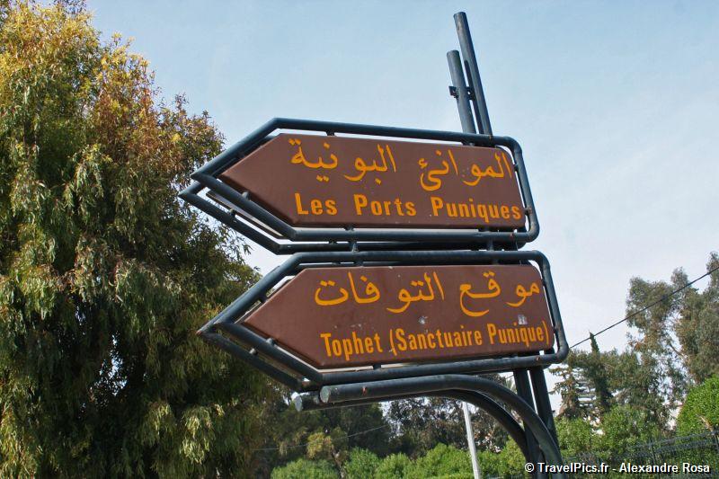 gal/Voyages/Tunisia/Carthage/Carthage_ruines_Tunis019.jpg