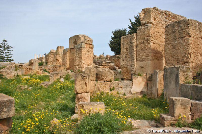 gal/Voyages/Tunisia/Carthage/Carthage_ruines_Tunis057.jpg