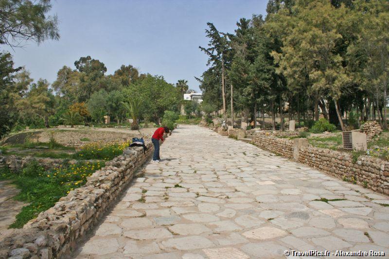 gal/Voyages/Tunisia/Carthage/Carthage_ruines_Tunis164.jpg