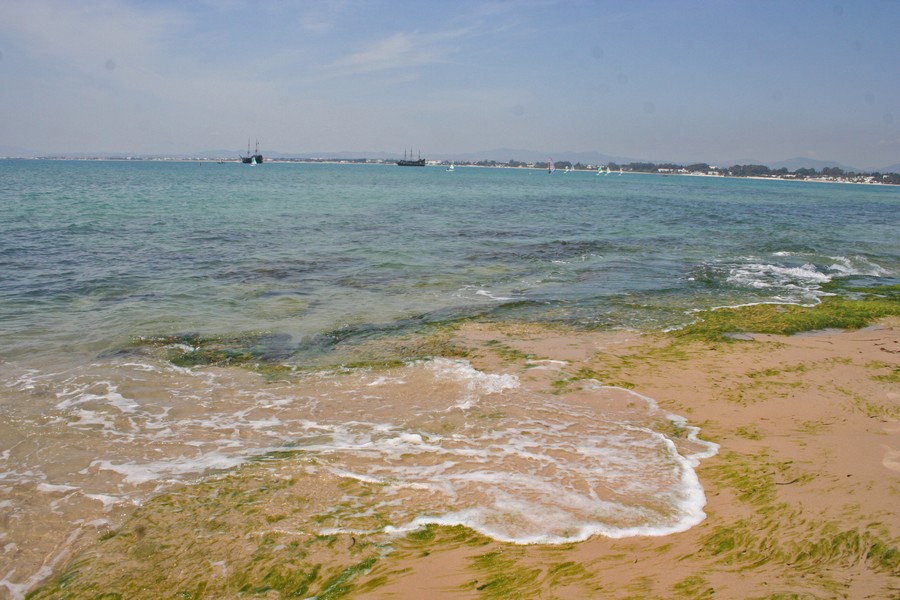 gal/Voyages/Tunisia/Hammamet/IMG_9674.JPG