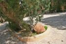 gal/Voyages/Tunisia/Hammamet/_thb_IMG_9586.JPG