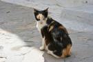 gal/Voyages/Tunisia/Hammamet/_thb_IMG_9658.JPG