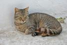gal/Voyages/Tunisia/Hammamet/_thb_IMG_9662.JPG
