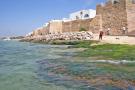 gal/Voyages/Tunisia/Hammamet/_thb_IMG_9678.JPG