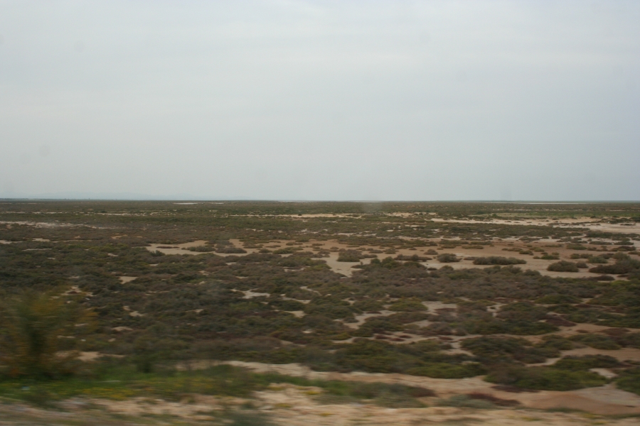 gal/Voyages/Tunisia/Hergla/IMG_0056.JPG