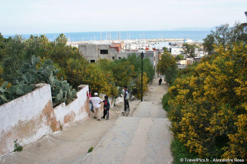 gal/Voyages/Tunisia/Sidi_Bou_Said/Sidi_Bou_Said_Tunis_Dar124.jpg