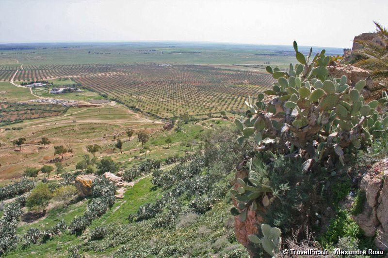 gal/Voyages/Tunisia/Takrouna/Tunisia_Takrouna027.jpg