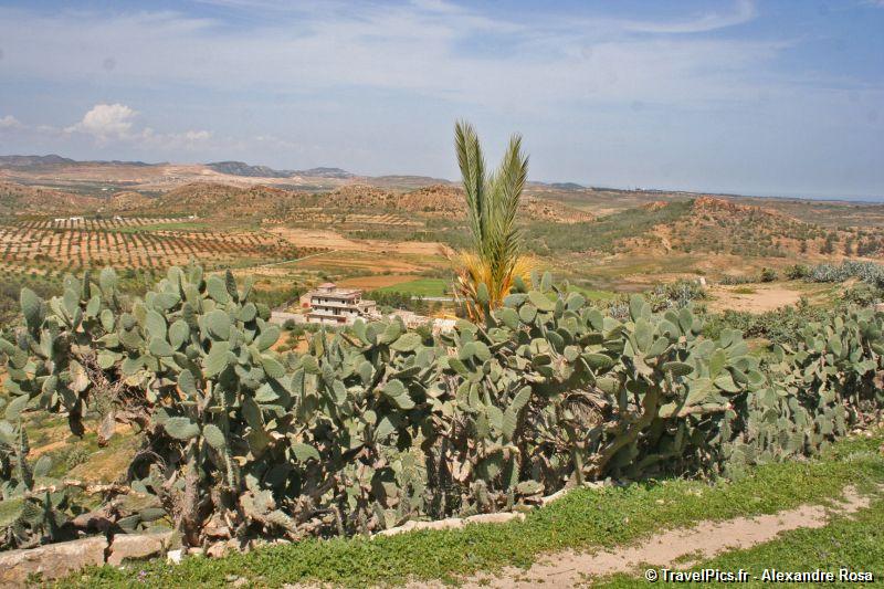 gal/Voyages/Tunisia/Takrouna/Tunisia_Takrouna110.jpg