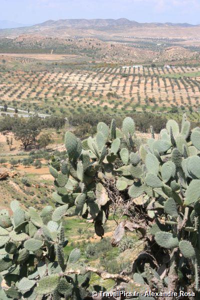 gal/Voyages/Tunisia/Takrouna/Tunisia_Takrouna112.jpg