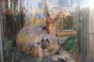 gal/Voyages/Vienna_-_Austria/Prater/Blue_Planet/_thb_IMG_3639.JPG