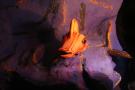 gal/Voyages/Vienna_-_Austria/Prater/Blue_Planet/_thb_IMG_3644.JPG