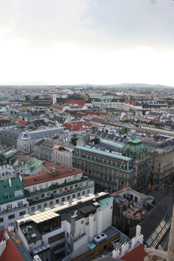 gal/Voyages/Vienna_-_Austria/Stephansdom/Tour/IMG_3481.JPG