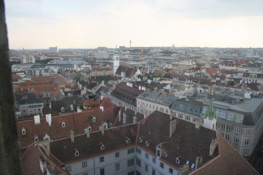gal/Voyages/Vienna_-_Austria/Stephansdom/Tour/IMG_3526.JPG