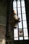 gal/Voyages/Vienna_-_Austria/Stephansdom/_thb_IMG_3436.JPG