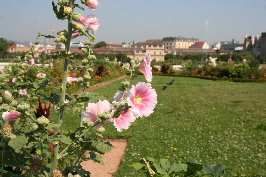 gal/Voyages/Vienna_-_Austria/belvedere/IMG_3117.JPG