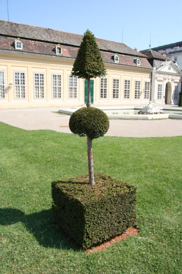gal/Voyages/Vienna_-_Austria/belvedere/inferieur/IMG_3143.JPG