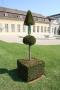 gal/Voyages/Vienna_-_Austria/belvedere/inferieur/_thb_IMG_3143.JPG