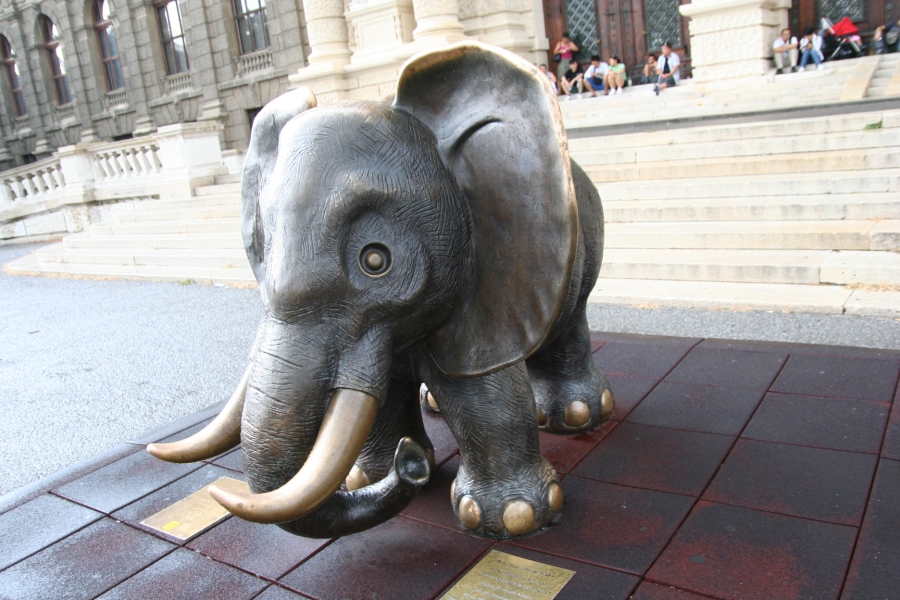 gal/Voyages/Vienna_-_Austria/museum/IMG_3541.JPG