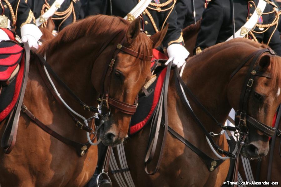 gal/evenements/14_Juillet_-_Defile_Militaire/IMG_6480.JPG