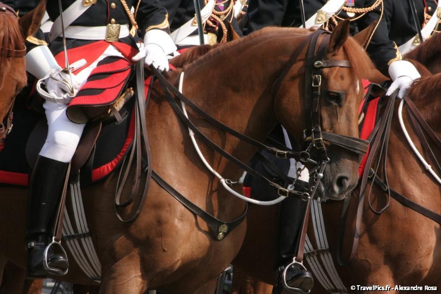 gal/evenements/14_Juillet_-_Defile_Militaire/IMG_6485.JPG