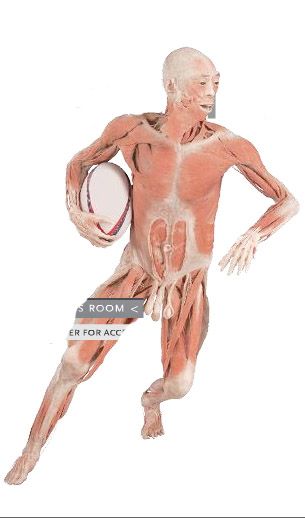 gal/evenements/Bodies_-_The_Exhibition/body_rugby.jpg