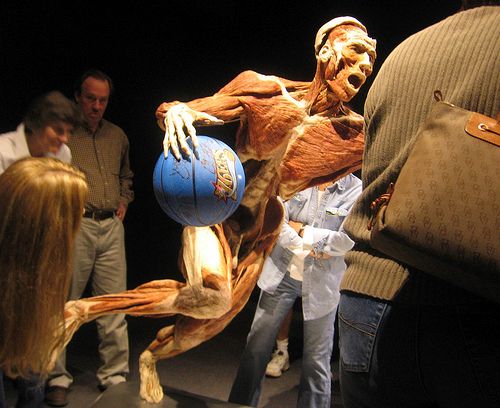 gal/evenements/Bodies_-_The_Exhibition/thebodies1.jpg