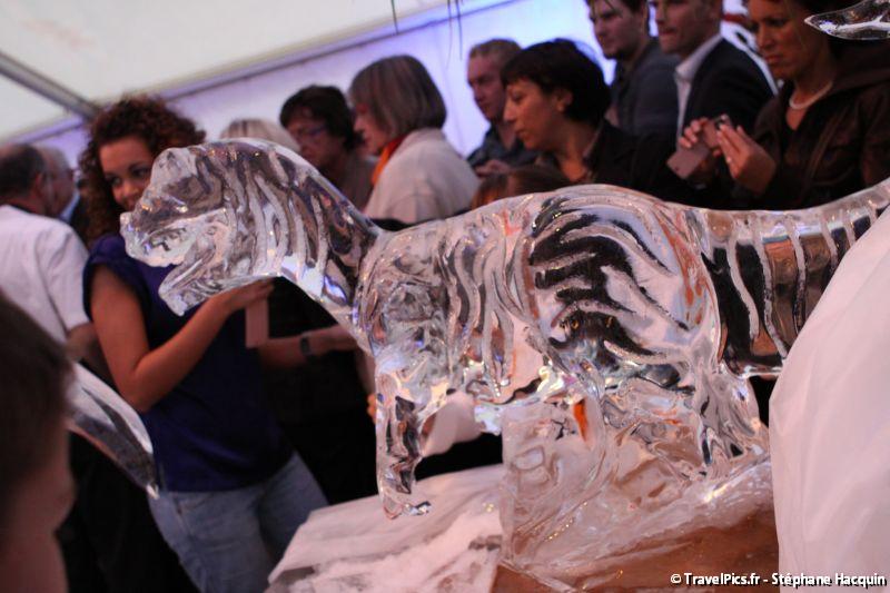 gal/evenements/Dinovotion_-_Amneville_les_Thermes/Dinovotion_Amneville_Inauguration029.jpg