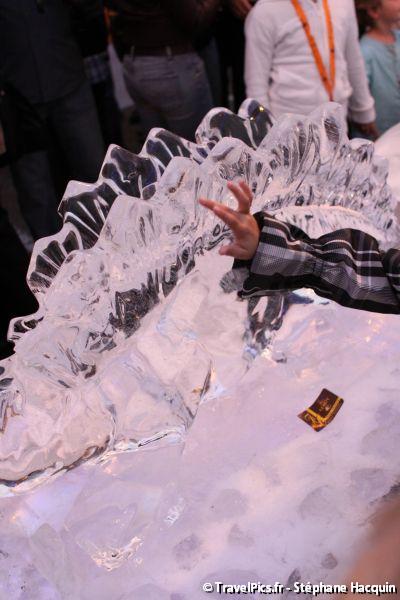 gal/evenements/Dinovotion_-_Amneville_les_Thermes/Dinovotion_Amneville_Inauguration038.jpg