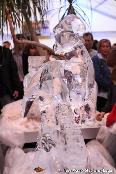 gal/evenements/Dinovotion_-_Amneville_les_Thermes/Dinovotion_Amneville_Inauguration041.jpg