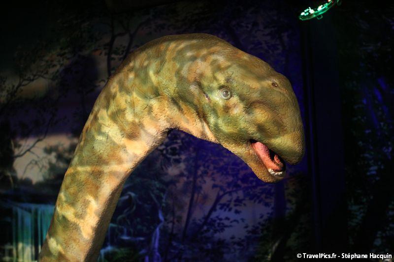 gal/evenements/Dinovotion_-_Amneville_les_Thermes/Dinovotion_Amneville_Inauguration116.jpg