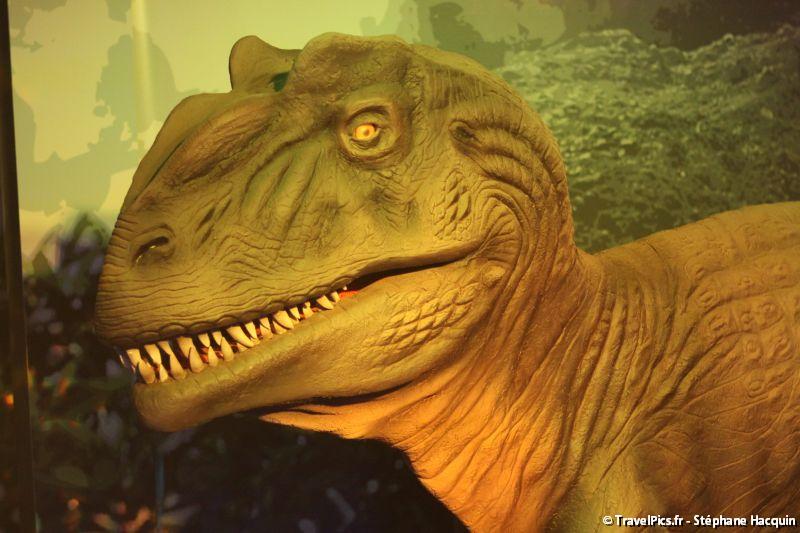 gal/evenements/Dinovotion_-_Amneville_les_Thermes/Dinovotion_Amneville_Inauguration126.jpg