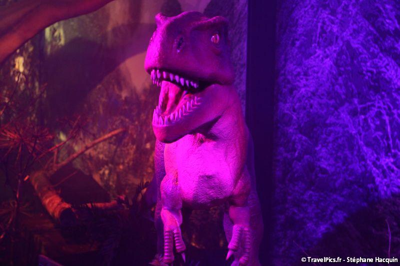 gal/evenements/Dinovotion_-_Amneville_les_Thermes/Dinovotion_Amneville_Inauguration134.jpg