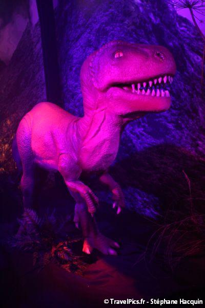 gal/evenements/Dinovotion_-_Amneville_les_Thermes/Dinovotion_Amneville_Inauguration135.jpg