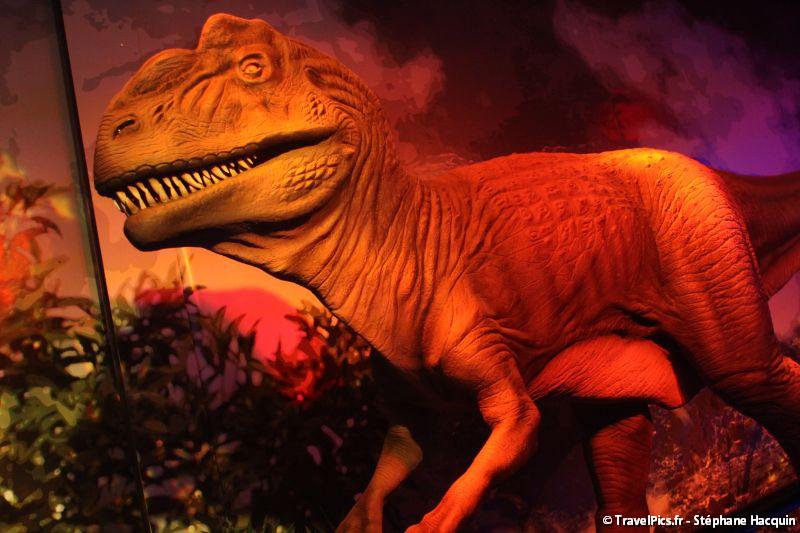 gal/evenements/Dinovotion_-_Amneville_les_Thermes/Dinovotion_Amneville_Inauguration137.jpg