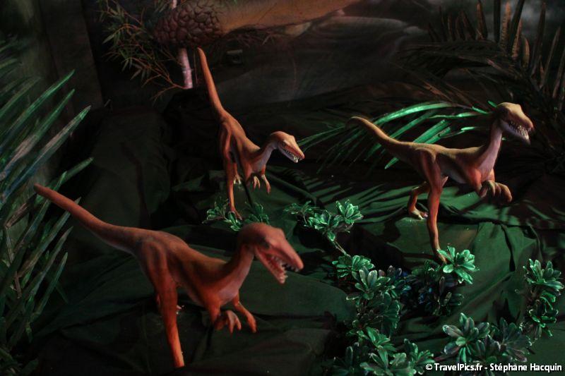 gal/evenements/Dinovotion_-_Amneville_les_Thermes/Dinovotion_Amneville_Inauguration176.jpg