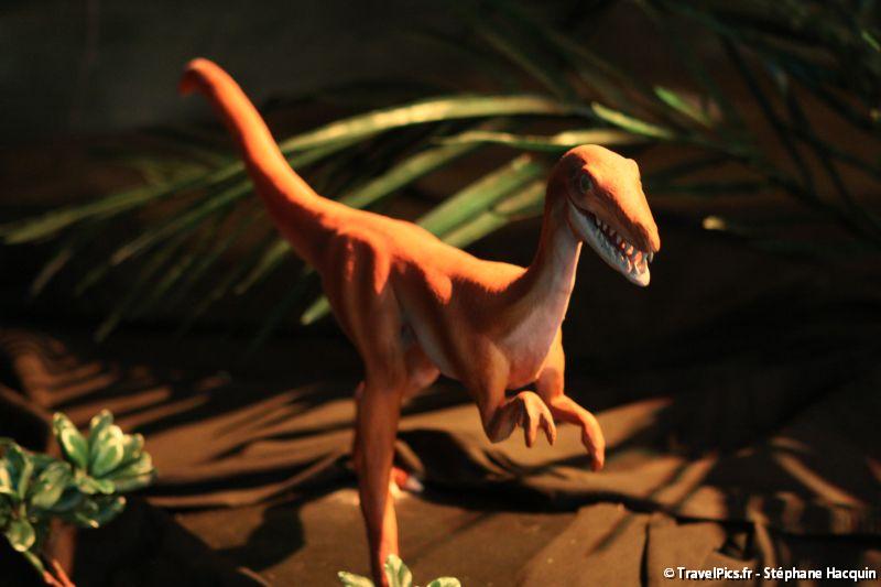 gal/evenements/Dinovotion_-_Amneville_les_Thermes/Dinovotion_Amneville_Inauguration177.jpg