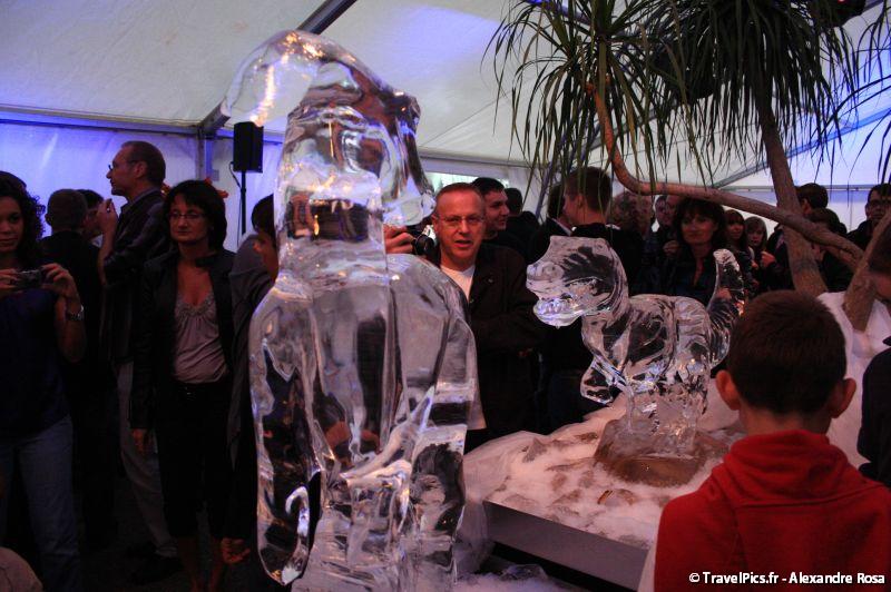 gal/evenements/Dinovotion_-_Amneville_les_Thermes/Dinovotion_Amneville_Inauguration264.jpg