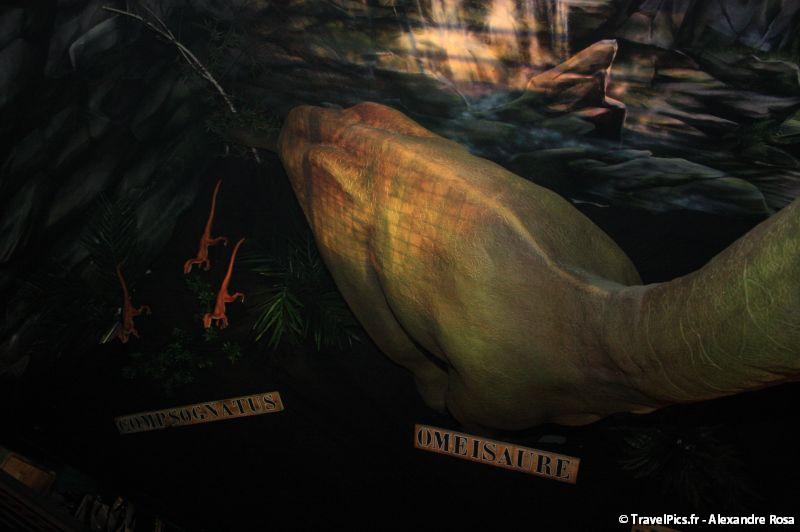 gal/evenements/Dinovotion_-_Amneville_les_Thermes/Dinovotion_Amneville_Inauguration354.jpg