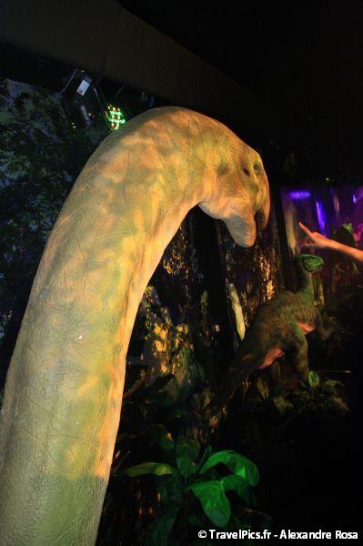 gal/evenements/Dinovotion_-_Amneville_les_Thermes/Dinovotion_Amneville_Inauguration356.jpg