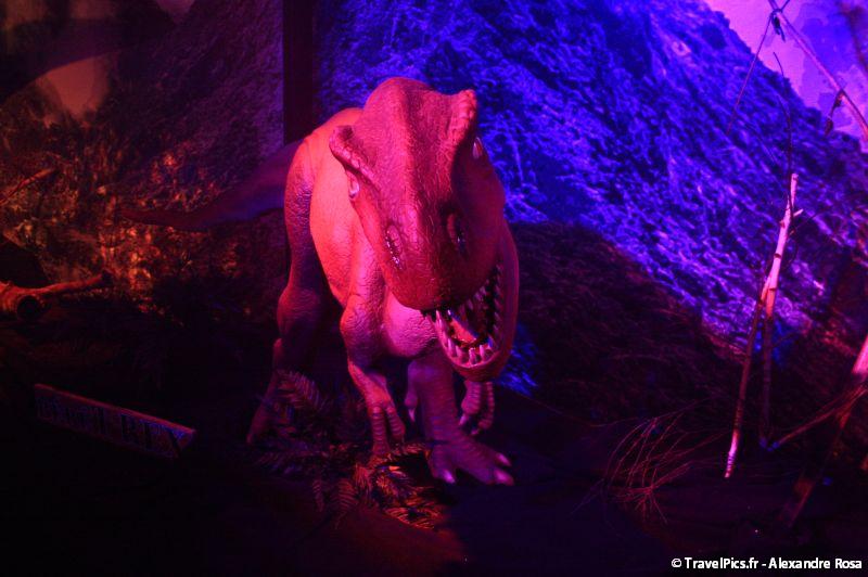 gal/evenements/Dinovotion_-_Amneville_les_Thermes/Dinovotion_Amneville_Inauguration373.jpg